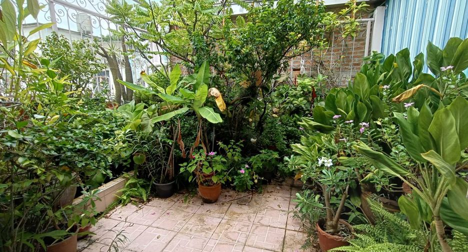 For sale 5 bedrooms townhouse in Bang Khun Thian, Bangkok