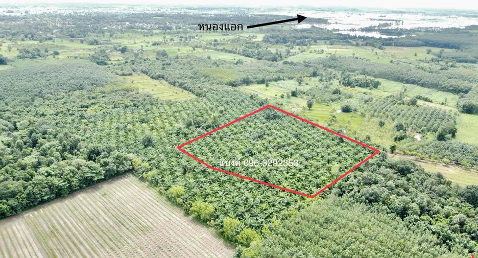 For sale land in Phon Phisai, Nong Khai