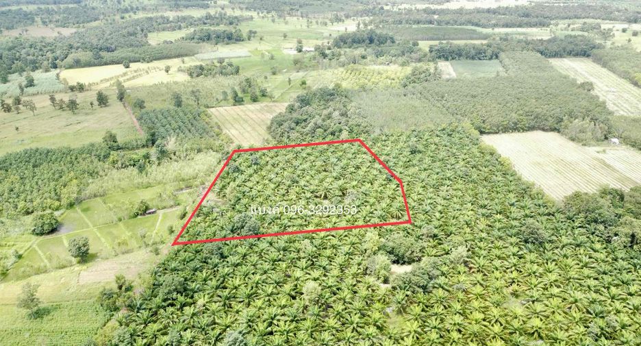 For sale land in Phon Phisai, Nong Khai