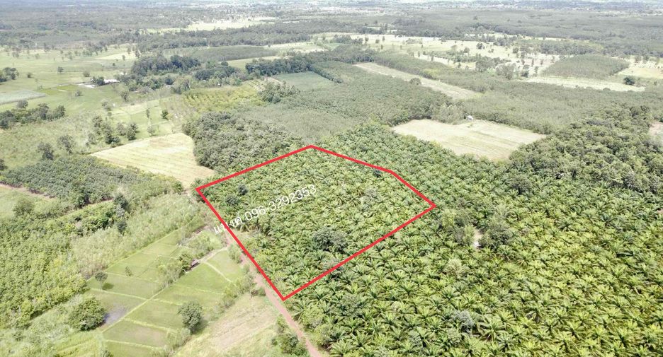 For sale land in Phon Phisai, Nong Khai