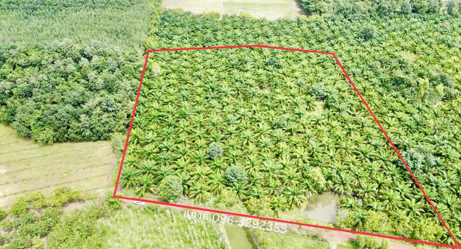 For sale land in Phon Phisai, Nong Khai