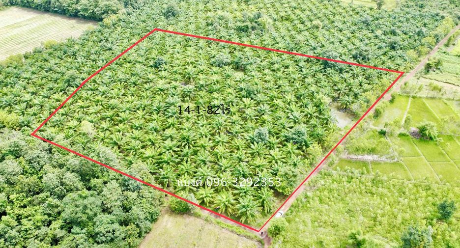 For sale land in Phon Phisai, Nong Khai