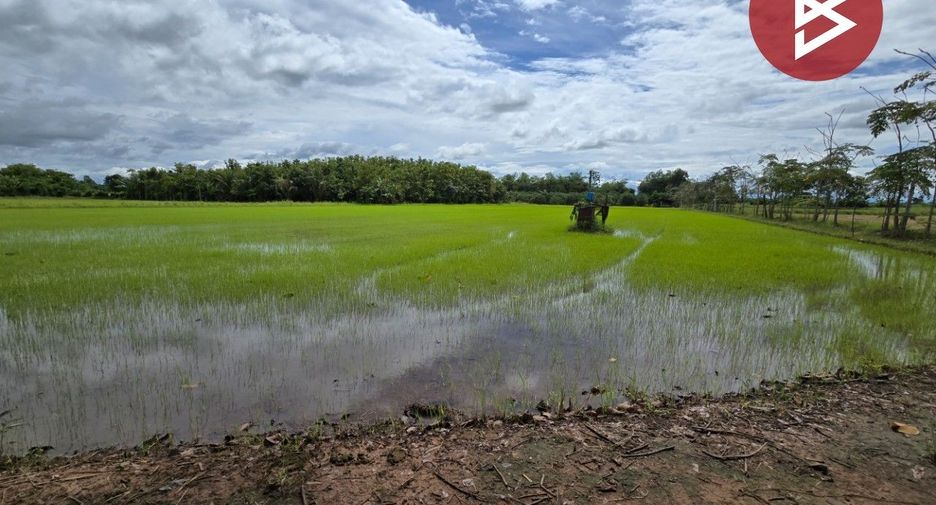 For sale land in Mueang Phichit, Phichit