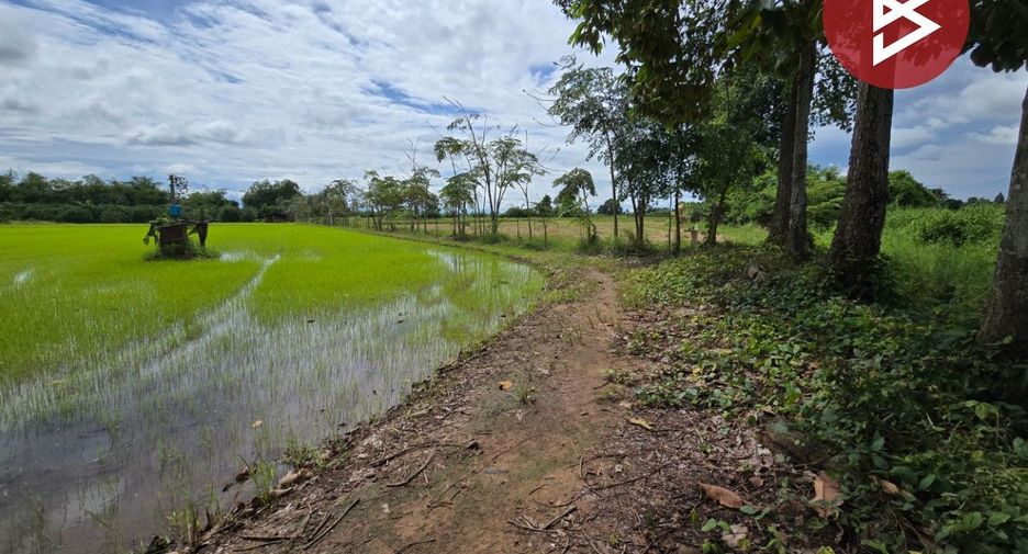 For sale land in Mueang Phichit, Phichit