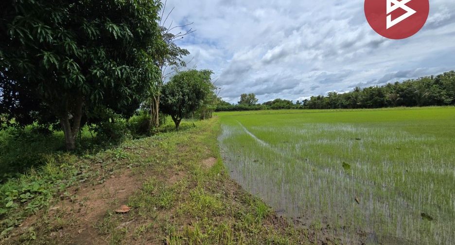 For sale land in Mueang Phichit, Phichit