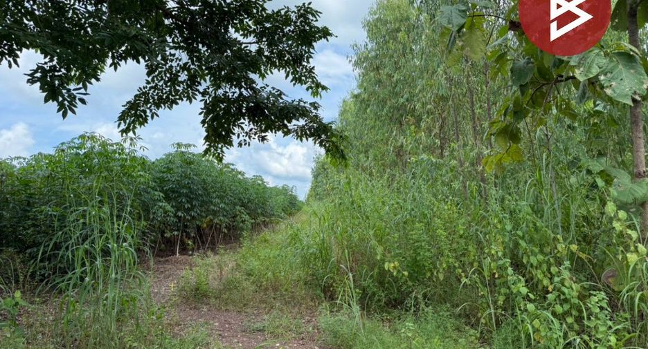 Grundstück zum Kauf in Thong Saen Khan, Uttaradit