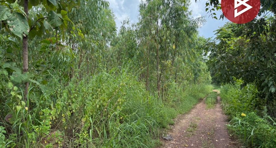Grundstück zum Kauf in Thong Saen Khan, Uttaradit