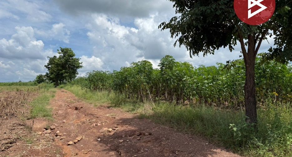 Grundstück zum Kauf in Thong Saen Khan, Uttaradit