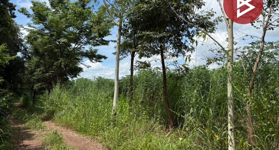 Grundstück zum Kauf in Thong Saen Khan, Uttaradit