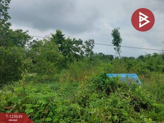 For sale land in Ongkharak, Nakhon Nayok