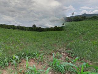 出售 土地 在 Pak Chong, Nakhon Ratchasima