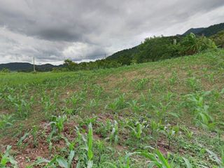 出售 土地 在 Pak Chong, Nakhon Ratchasima