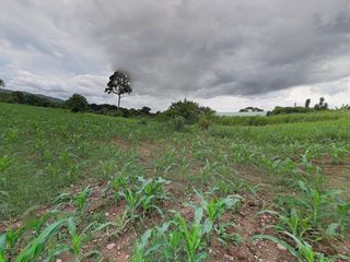 出售 土地 在 Pak Chong, Nakhon Ratchasima