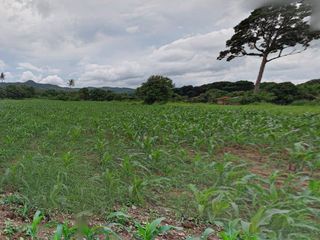 出售 土地 在 Pak Chong, Nakhon Ratchasima