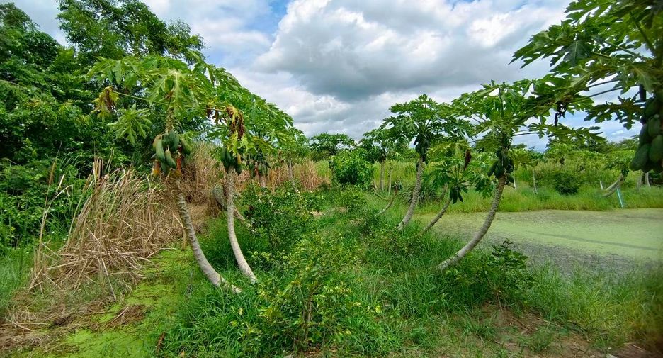 For sale land in Mueang Suphanburi, Suphan Buri