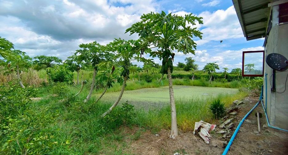 For sale land in Mueang Suphanburi, Suphan Buri