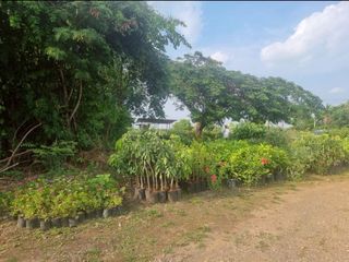 出售 土地 在 Pak Chong, Nakhon Ratchasima