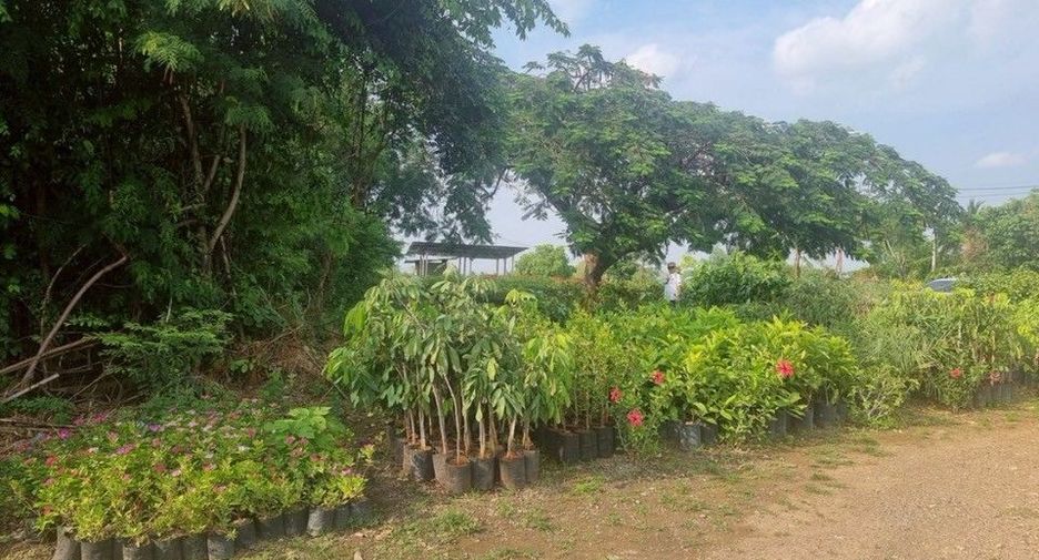 Grundstück zum Kauf in Pak Chong, Nakhon Ratchasima