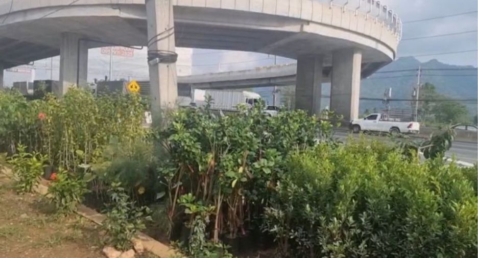 Grundstück zum Kauf in Pak Chong, Nakhon Ratchasima