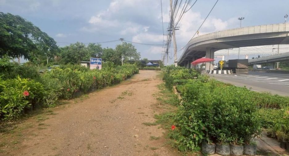 Grundstück zum Kauf in Pak Chong, Nakhon Ratchasima