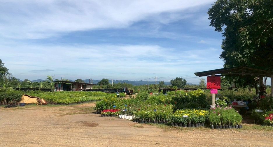 Grundstück zum Kauf in Pak Chong, Nakhon Ratchasima