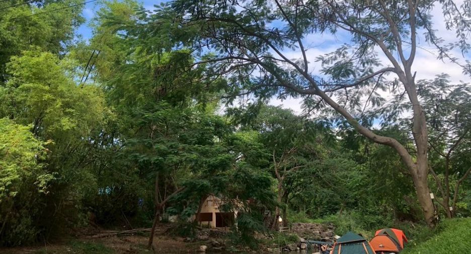 For sale land in Pak Chong, Nakhon Ratchasima