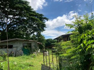 出售 土地 在 Pak Chong, Nakhon Ratchasima