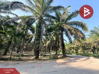 ขาย ที่ดิน ใน ท่าแซะ, ชุมพร