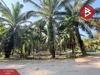 ขาย ที่ดิน ใน ท่าแซะ, ชุมพร