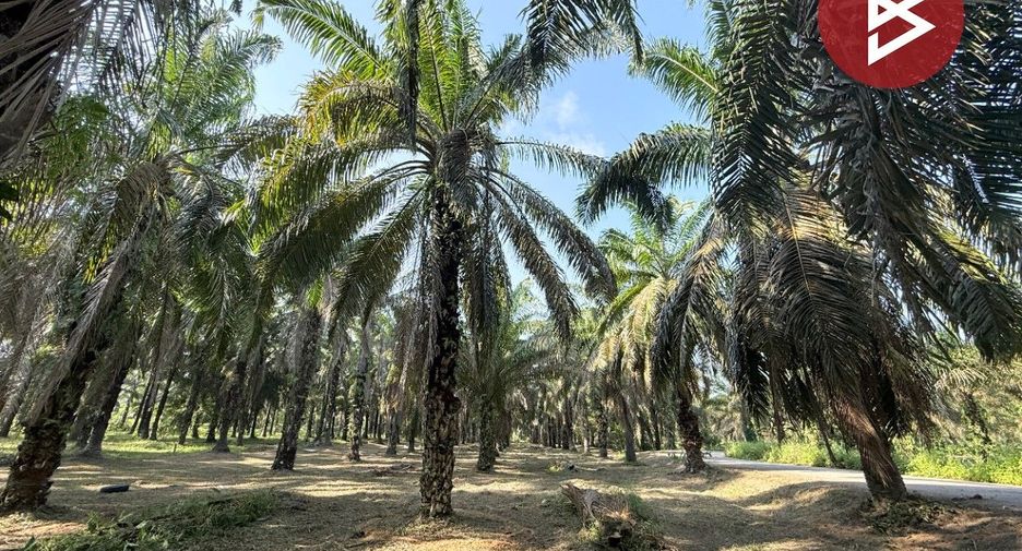 For sale land in Tha Sae, Chumphon