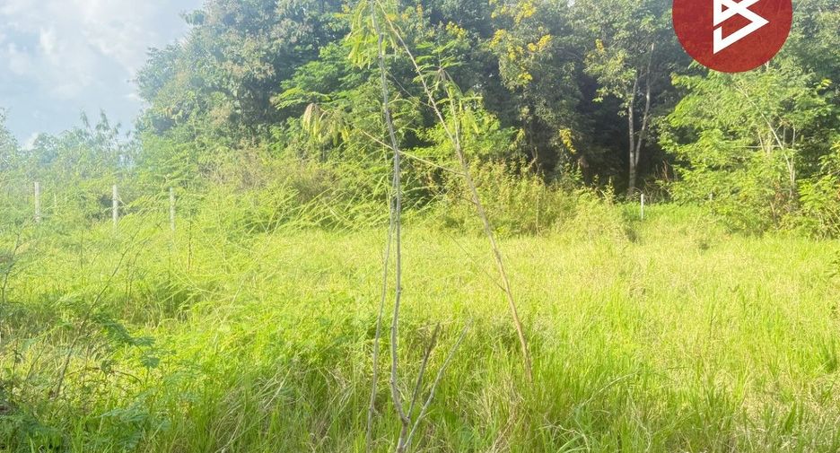 For sale land in San Pa Tong, Chiang Mai