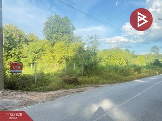 出售 土地 在 San Pa Tong, Chiang Mai