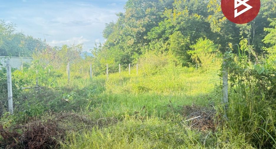 For sale land in San Pa Tong, Chiang Mai