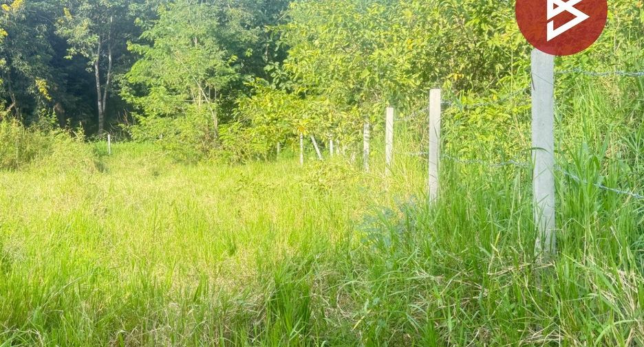 For sale land in San Pa Tong, Chiang Mai