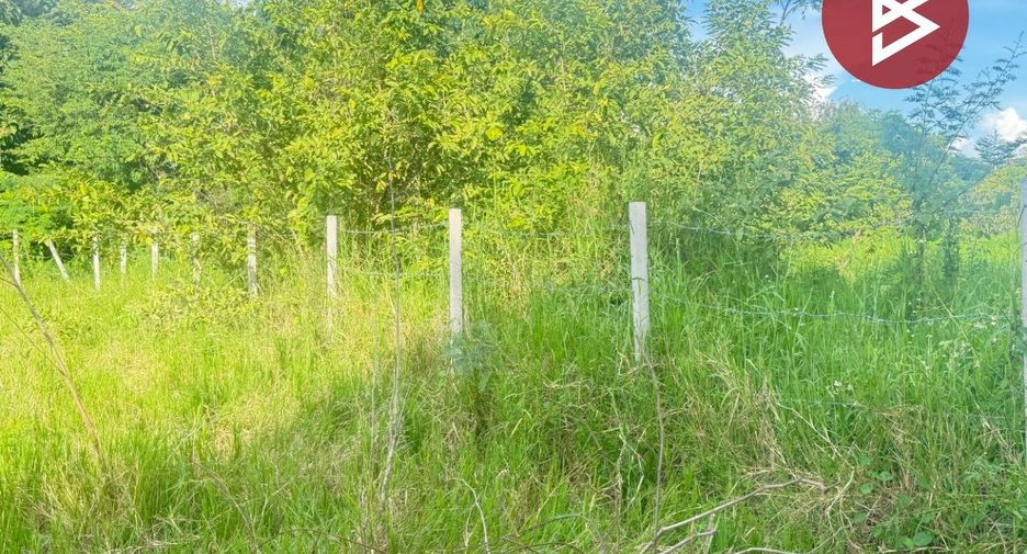 For sale land in San Pa Tong, Chiang Mai