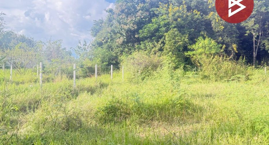 For sale land in San Pa Tong, Chiang Mai