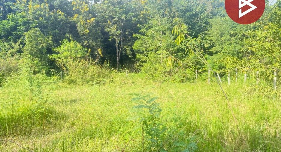 For sale land in San Pa Tong, Chiang Mai