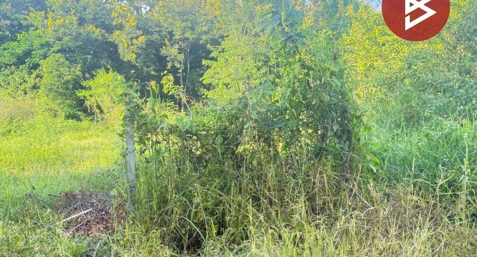 For sale land in San Pa Tong, Chiang Mai