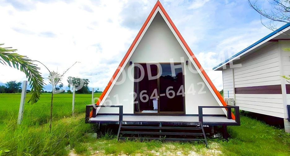 For sale land in Nong Mamong, Chainat