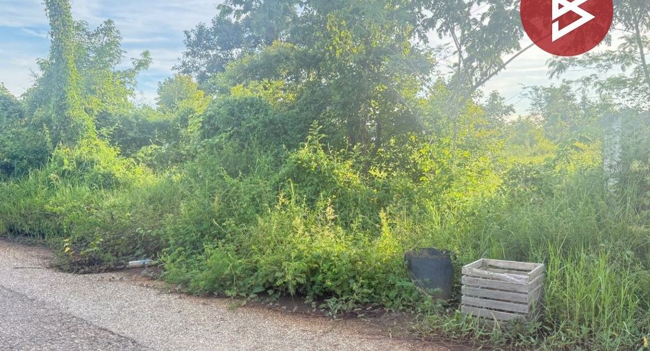 For sale land in San Pa Tong, Chiang Mai