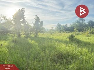 出售 土地 在 San Pa Tong, Chiang Mai