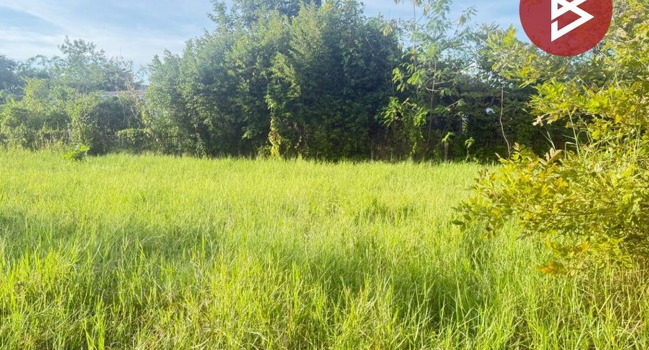 For sale land in San Pa Tong, Chiang Mai