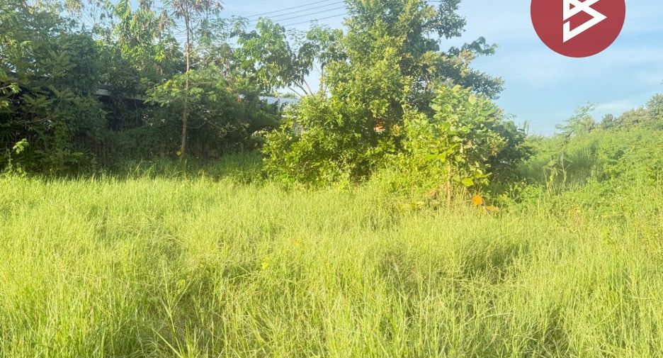 For sale land in San Pa Tong, Chiang Mai