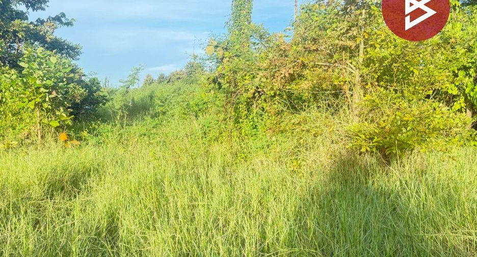 For sale land in San Pa Tong, Chiang Mai