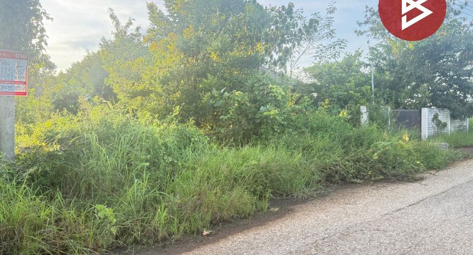 For sale land in San Pa Tong, Chiang Mai