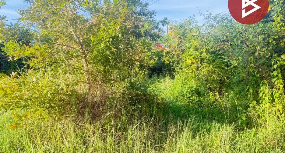 For sale land in San Pa Tong, Chiang Mai