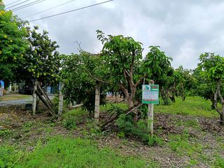 Продажа Участок в Mueang Suphanburi, Супанбури