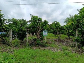 Продажа Участок в Mueang Suphanburi, Супанбури