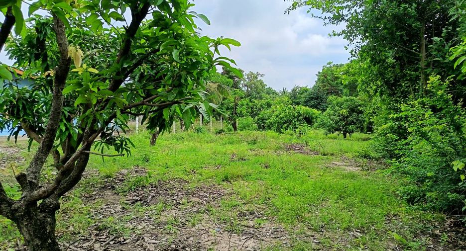 For sale land in Mueang Suphanburi, Suphan Buri