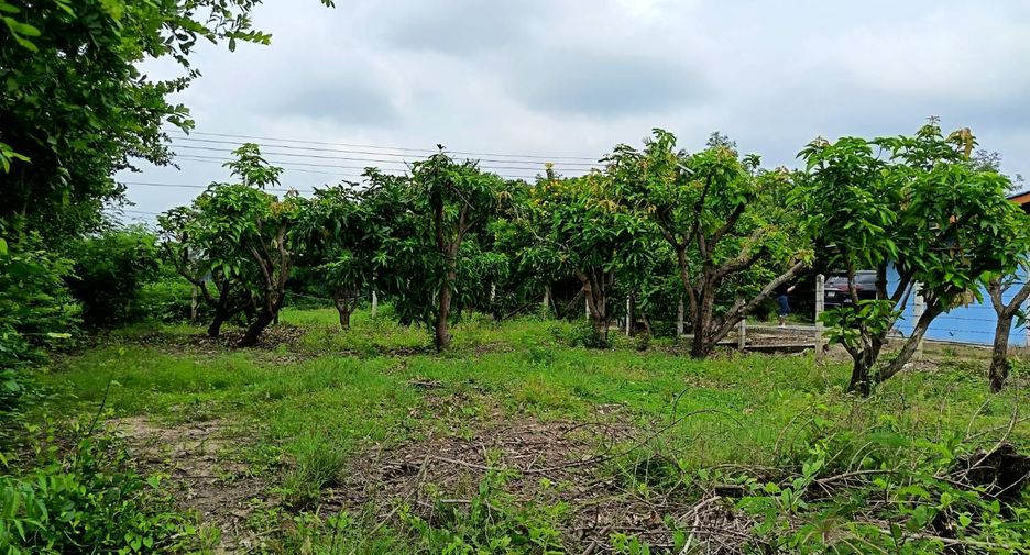For sale land in Mueang Suphanburi, Suphan Buri